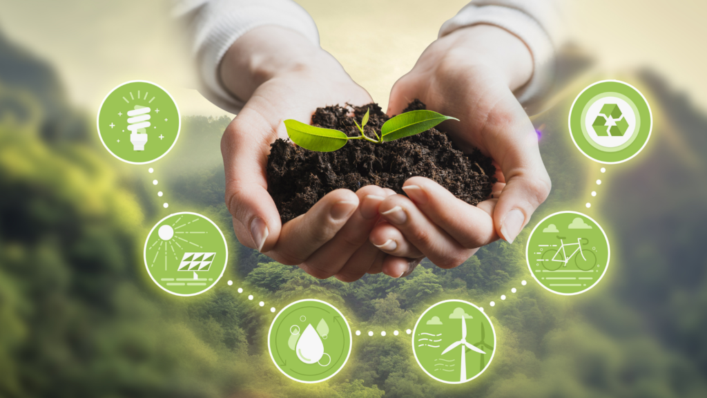 Karbonta Sertifikasyon