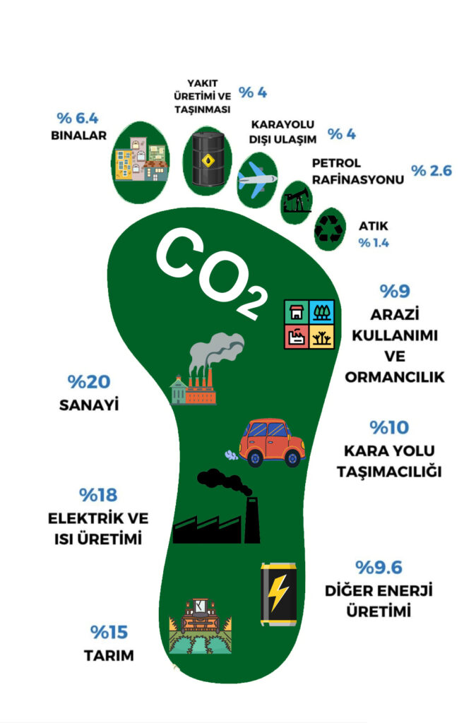 Karbonta Sertifikasyon